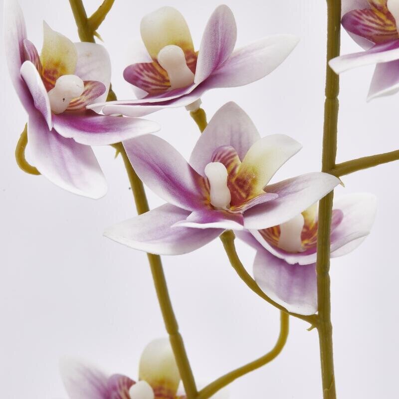 ORCHIDEA ONCIDIUM IN 4 COLORI - EDG Enzo De Gasperi