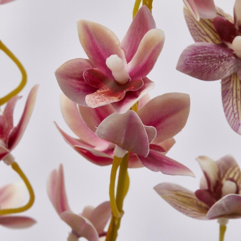 ORCHIDEA ONCIDIUM IN 4 COLORI - EDG Enzo De Gasperi
