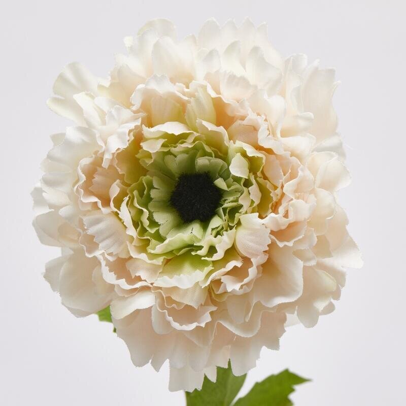 ANEMONE CON FOGLIE IN 3 COLORI - EDG Enzo De Gasperi