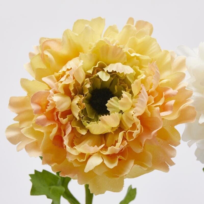 ANEMONE CON FOGLIE IN 3 COLORI - EDG Enzo De Gasperi