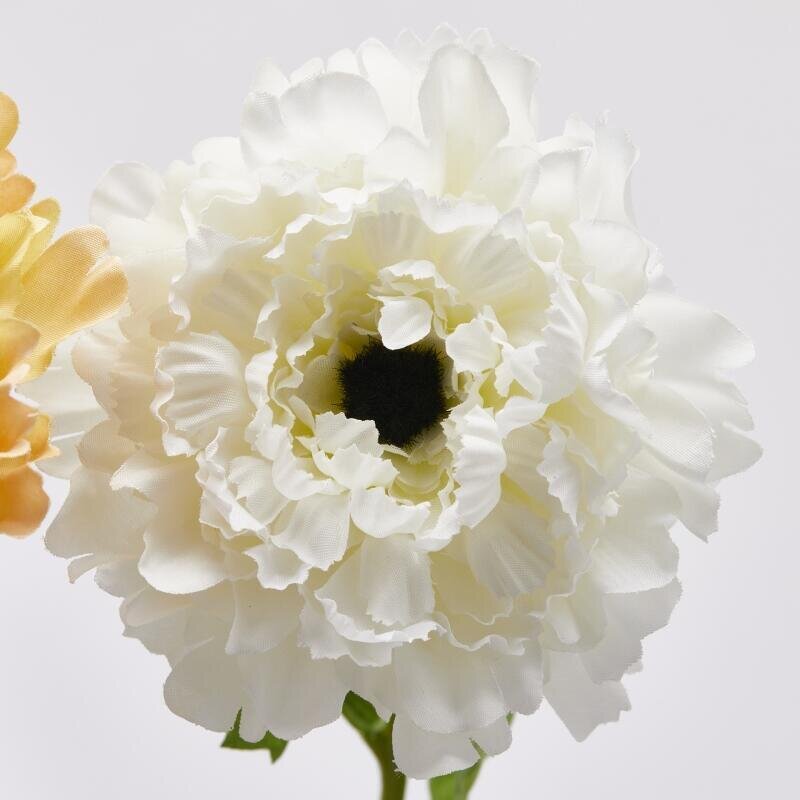 ANEMONE CON FOGLIE IN 3 COLORI - EDG Enzo De Gasperi