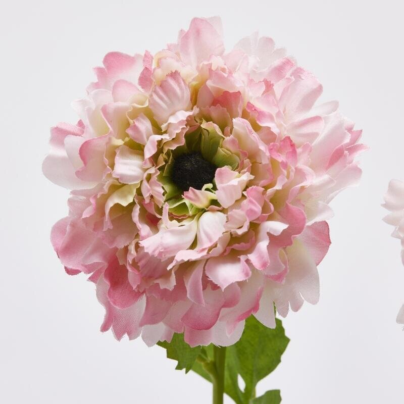 ANEMONE CON FOGLIE IN 3 COLORI - EDG Enzo De Gasperi