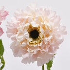 ANEMONE CON FOGLIE IN 3 COLORI - EDG Enzo De Gasperi