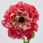 ANEMONE CON FOGLIE IN 3 COLORI - EDG Enzo De Gasperi