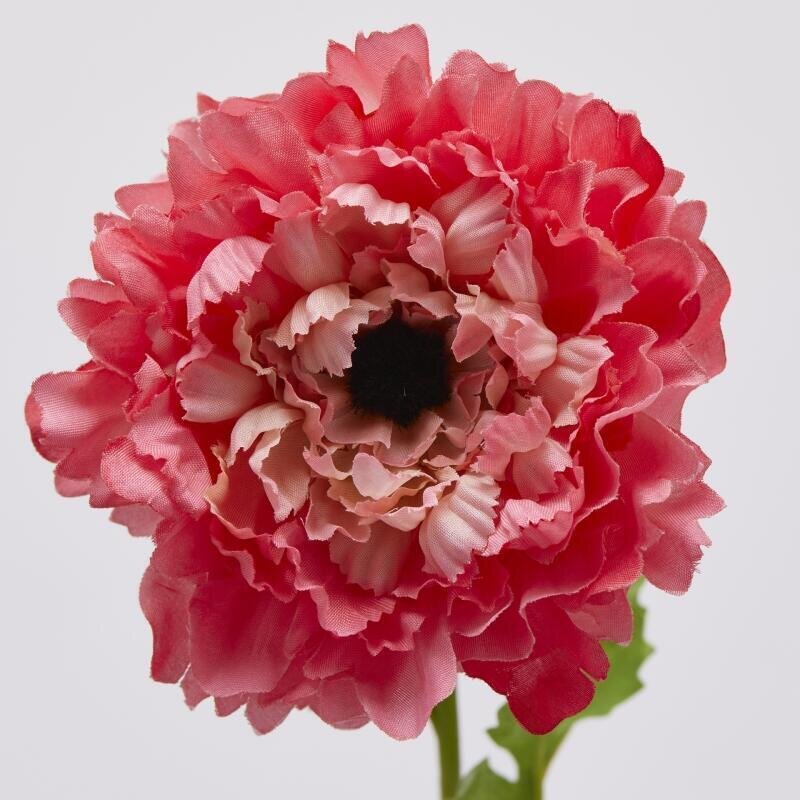 ANEMONE CON FOGLIE IN 3 COLORI - EDG Enzo De Gasperi