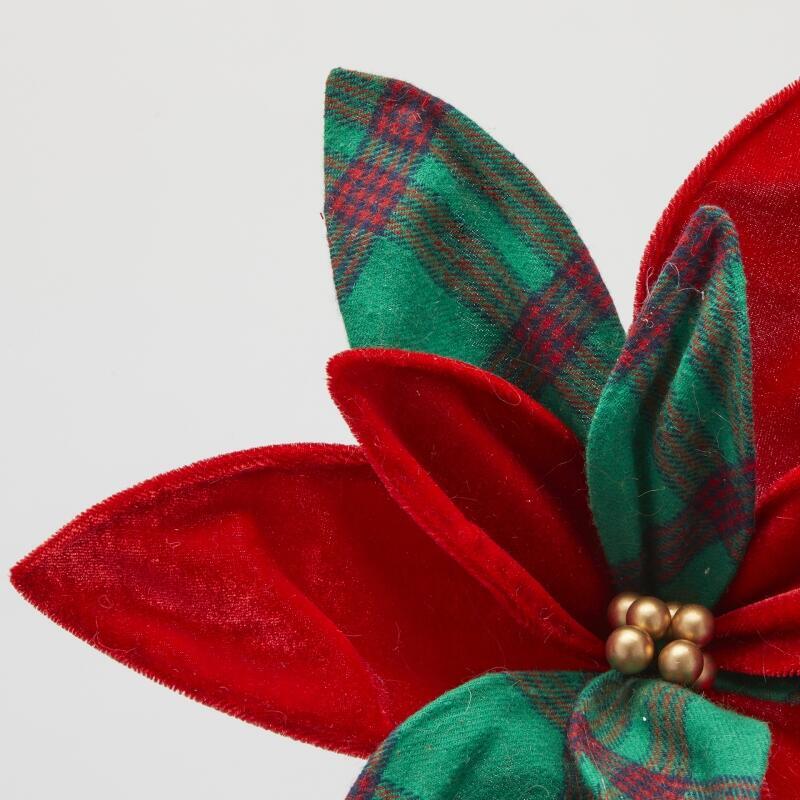 STELLA DI NATALE TARTAN - EDG Enzo De Gasperi