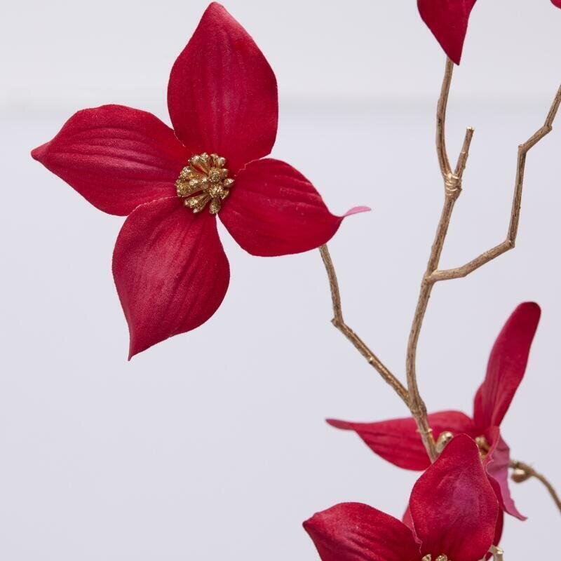 STELO CORNUS ROSSO - EDG Enzo De Gasperi