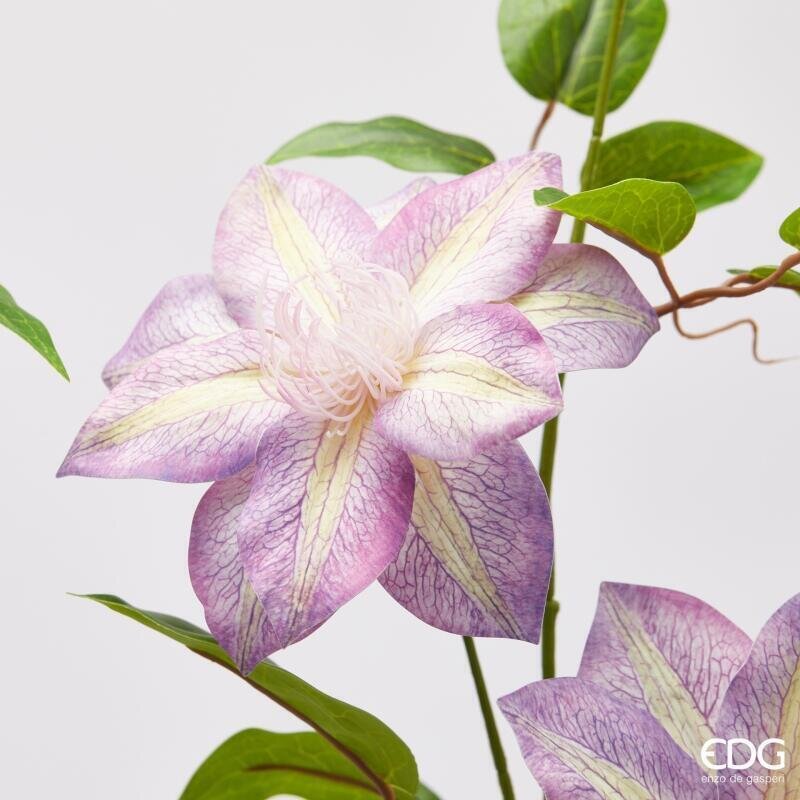 RAMO CLEMATIS IN 2 COLORI - EDG Enzo De Gasperi