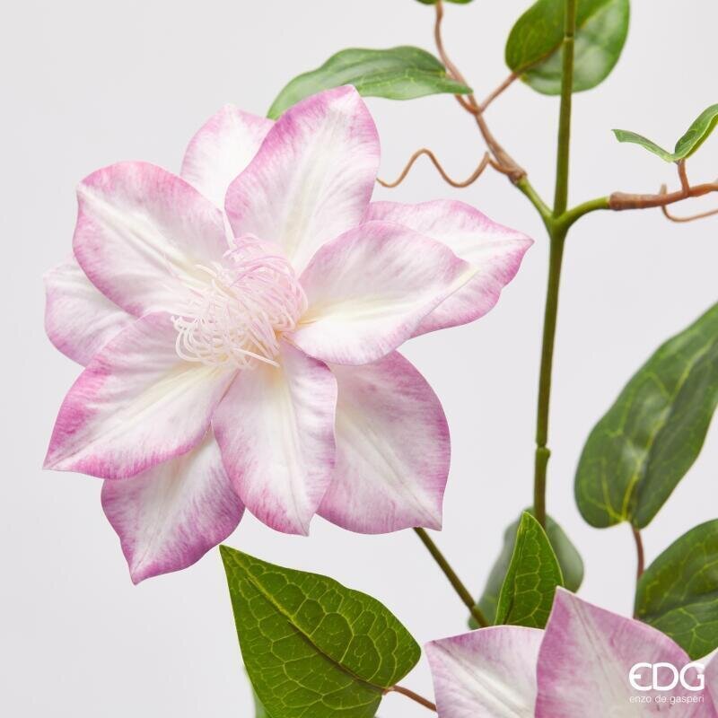 RAMO CLEMATIS IN 2 COLORI - EDG Enzo De Gasperi