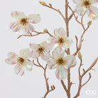 RAMO CORNUS GLOSSY - EDG Enzo De Gasperi