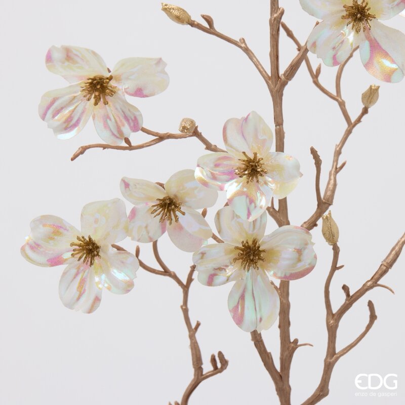 RAMO CORNUS GLOSSY - EDG Enzo De Gasperi