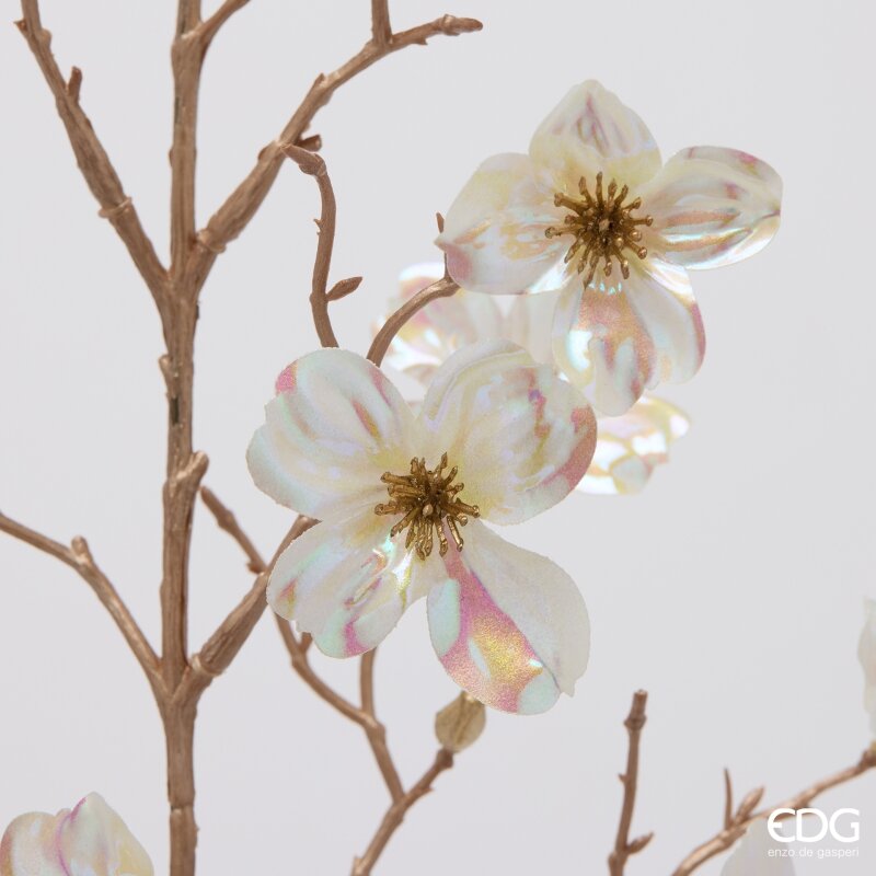 RAMO CORNUS GLOSSY - EDG Enzo De Gasperi