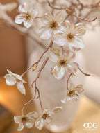 RAMO CORNUS GLOSSY - EDG Enzo De Gasperi