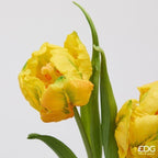 TULIPANI PARROT GIALLO - EDG Enzo De Gasperi