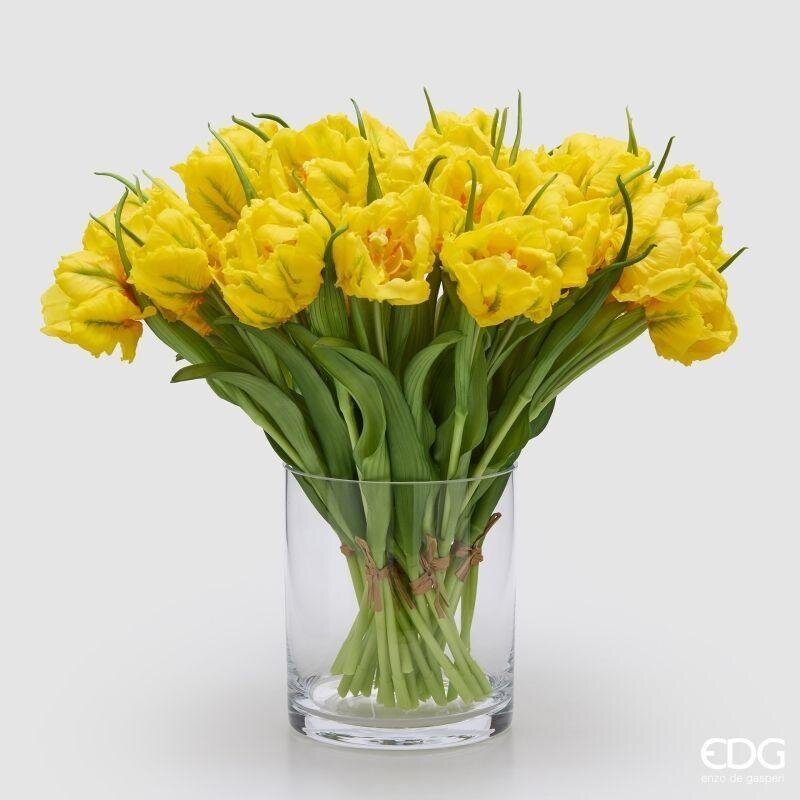 TULIPANI PARROT GIALLO - EDG Enzo De Gasperi