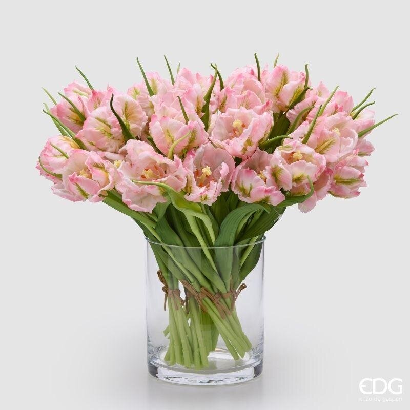 TULIPANI PARROT ROSA - EDG Enzo De Gasperi