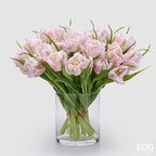 TULIPANI PARROT ROSE - EDG Enzo De Gasperi