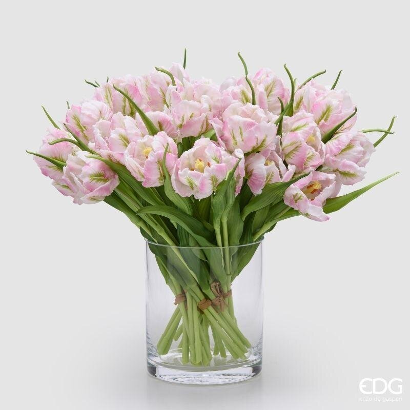TULIPANI PARROT ROSE - EDG Enzo De Gasperi