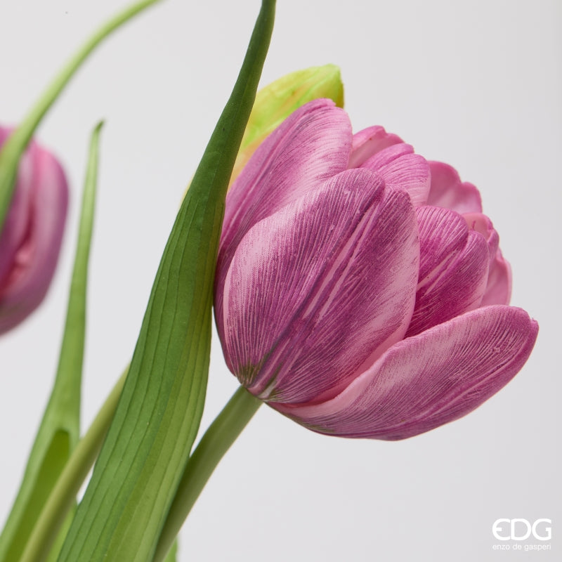 MAZZO TULIPANI VIOLA SFUMATI - EDG Enzo De Gasperi
