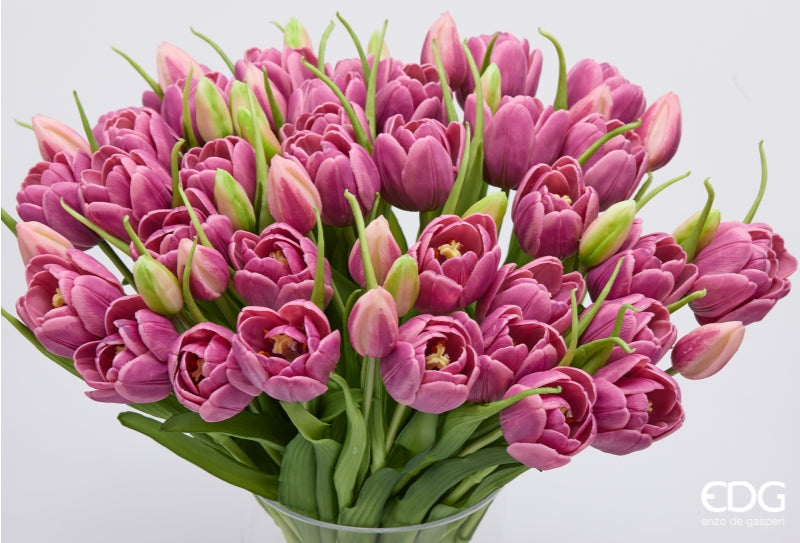 MAZZO TULIPANI VIOLA SFUMATI - EDG Enzo De Gasperi