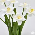 MAZZO NARCISO BIANCO - EDG Enzo De Gasperi