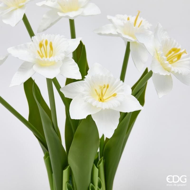 MAZZO NARCISO BIANCO - EDG Enzo De Gasperi