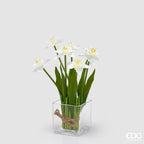 MAZZO NARCISO BIANCO - EDG Enzo De Gasperi