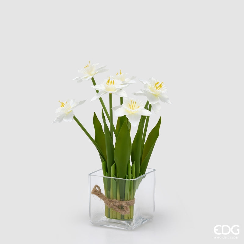 MAZZO NARCISO BIANCO - EDG Enzo De Gasperi