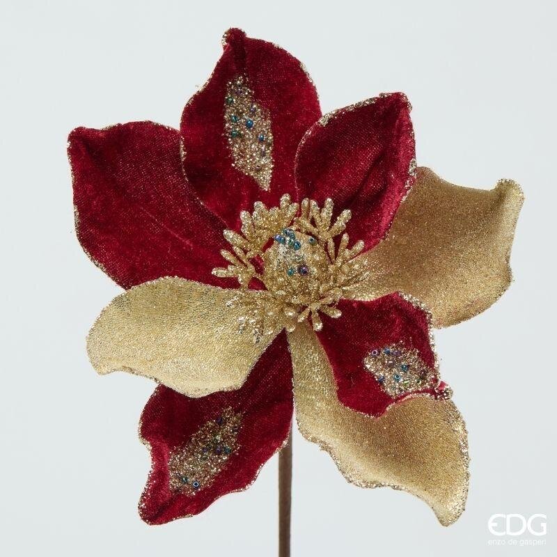 MAGNOLIA NATALIZIA A PETALI - EDG Enzo De Gasperi