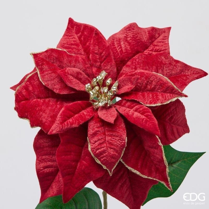 STELLA DI NATALE VELVET - EDG Enzo de Gasperi