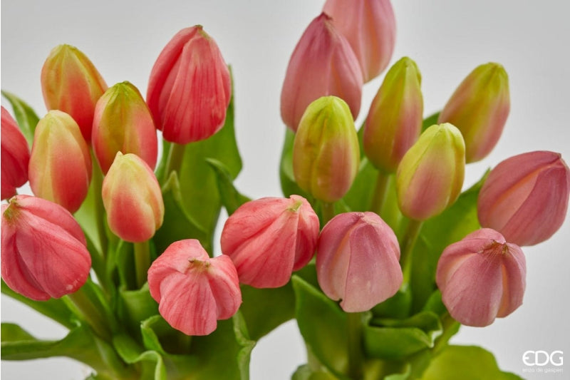 TULIPANI CON FOGLIE ROSA/FUCSIA - EDG Enzo De Gasperi