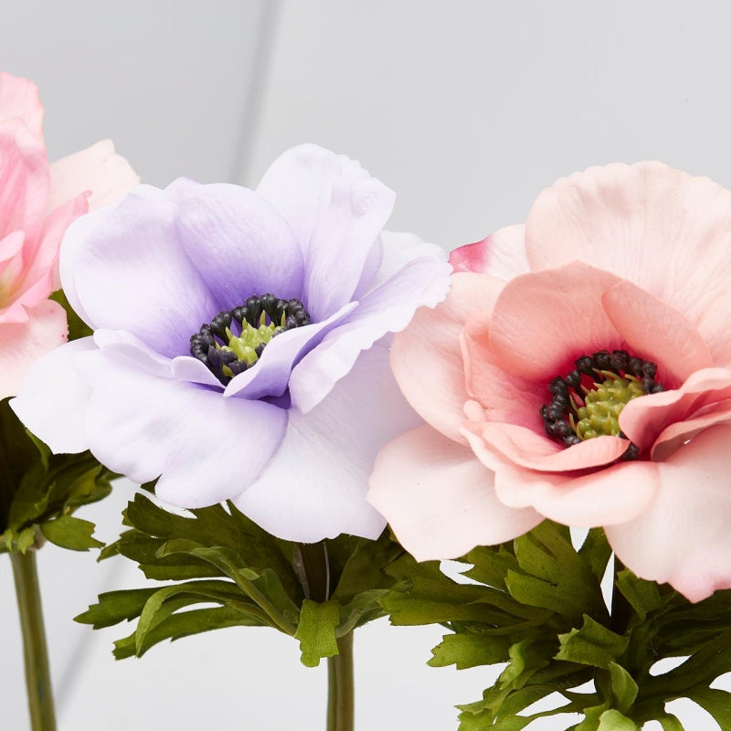 ANEMONE RAMO COLORI ASSORTITI - EDG Enzo De Gasperi