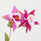 RAMO AQUILEGIA ROSA - EDG Enzo De Gasperi