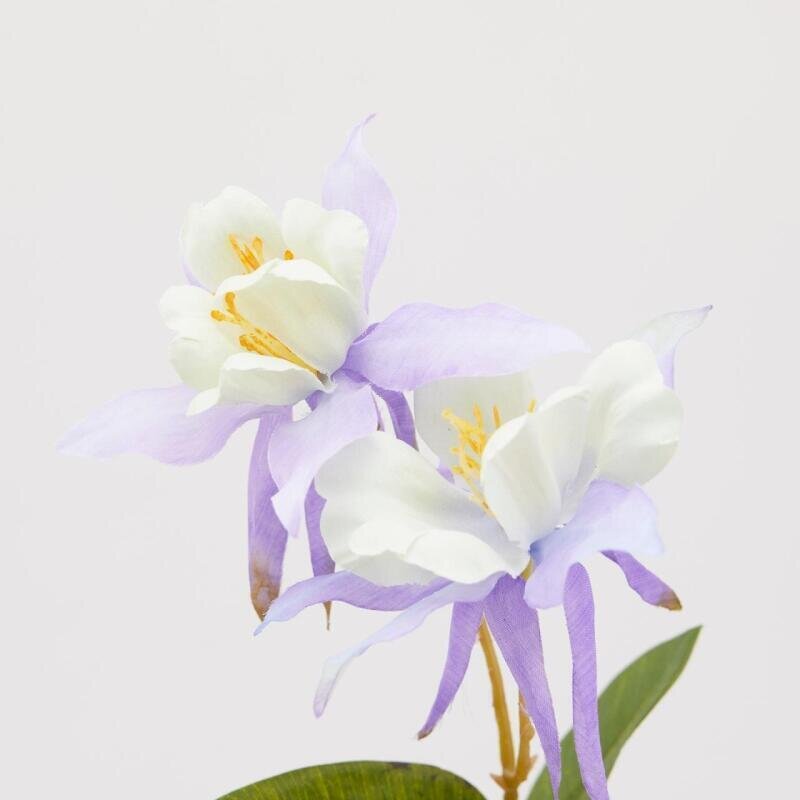 RAMO AQUILEGIA LILLA - EDG Enzo De Gasperi