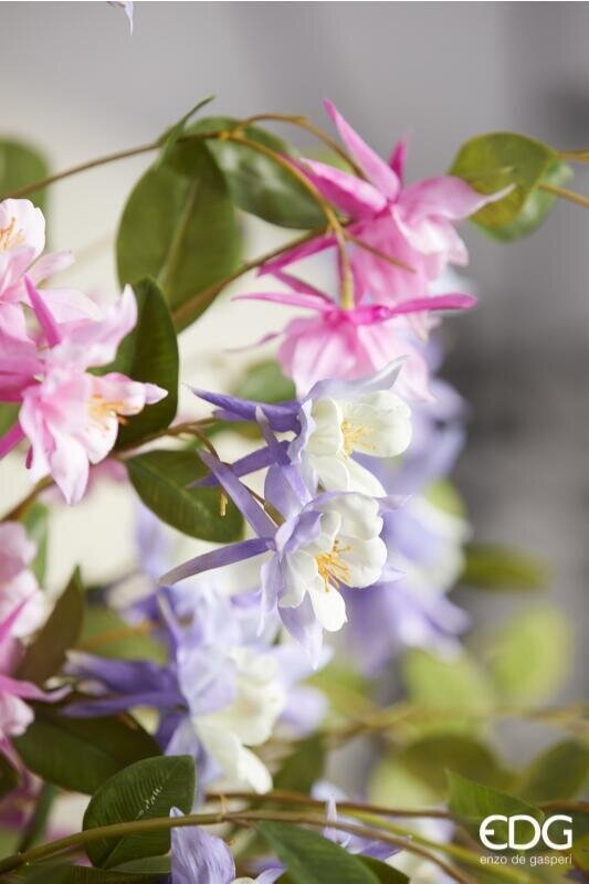 RAMO AQUILEGIA LILLA - EDG Enzo De Gasperi