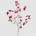 STELO CORNUS ROSSO - EDG Enzo De Gasperi