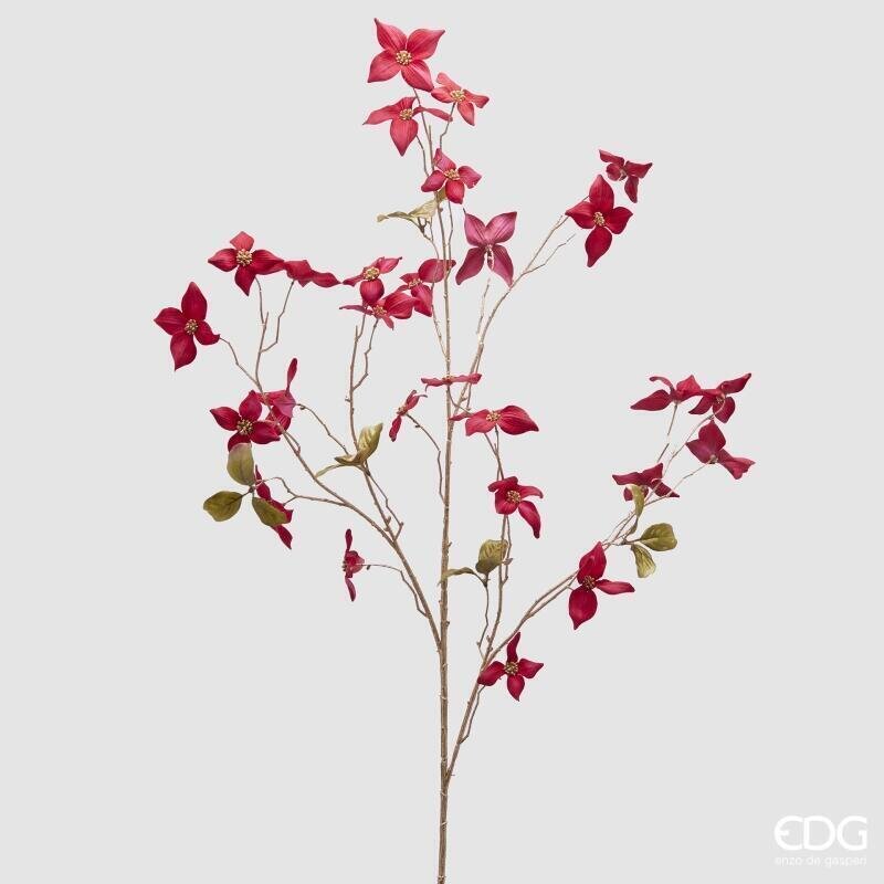 STELO CORNUS ROSSO - EDG Enzo De Gasperi