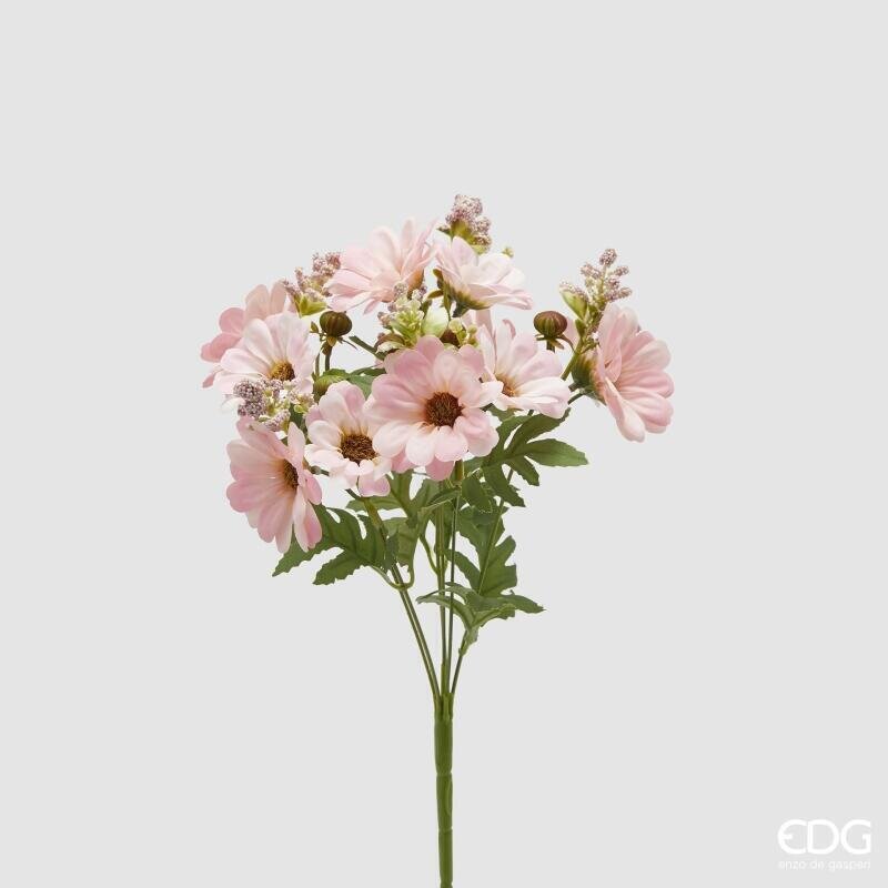 CESPUGLIO ZINNIA ROSE' CREMA - EDG Enzo De Gasperi