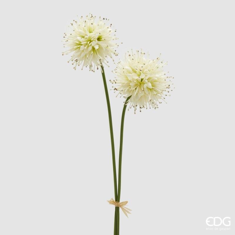 RAMO SUCCISA CREMA 2 FIORI - EDG Enzo De Gasperi