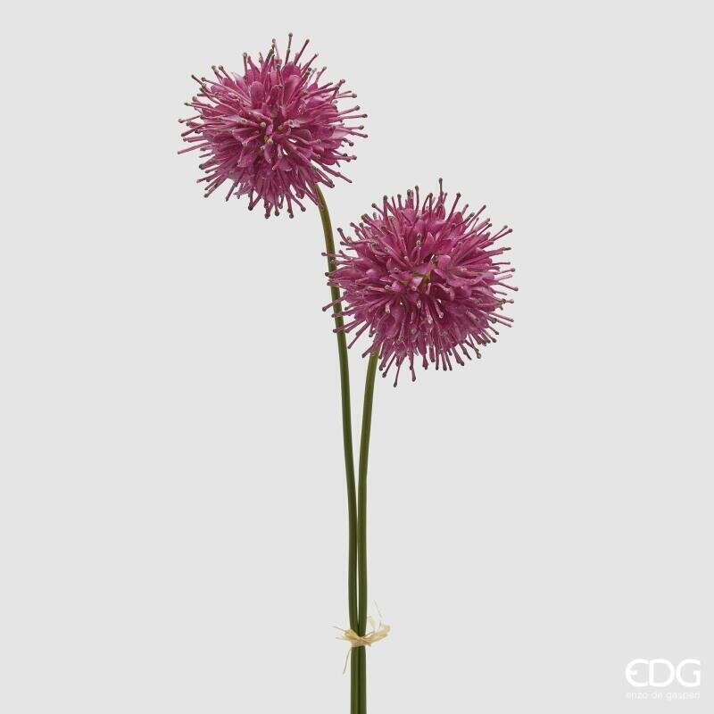 RAMO SUCCISA FUCSIA 2 FIORI - EDG Enzo De Gasperi