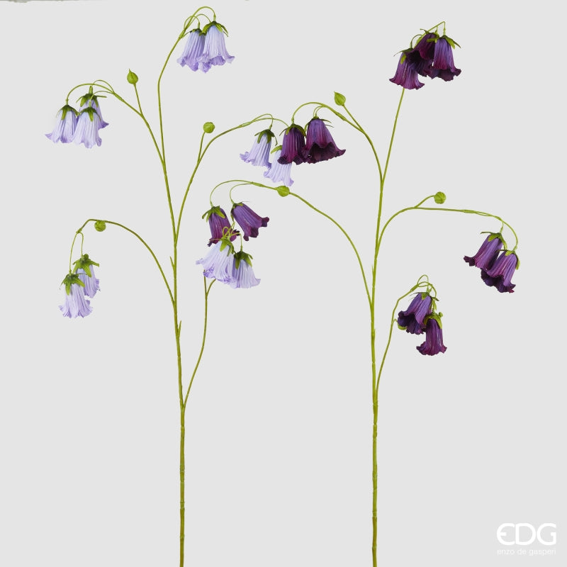 CAMPANULA IN 2 COLORI - EDG Enzo De Gasperi