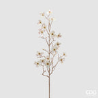 RAMO CORNUS GLOSSY - EDG Enzo De Gasperi