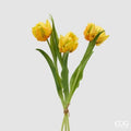 TULIPANI PARROT GIALLO - EDG Enzo De Gasperi