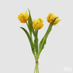 TULIPANI PARROT GIALLO - EDG Enzo De Gasperi