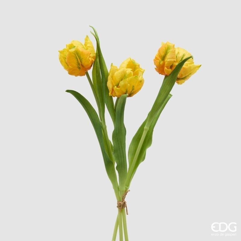 TULIPANI PARROT GIALLO - EDG Enzo De Gasperi