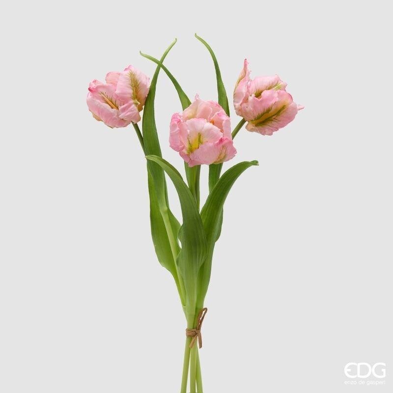 TULIPANI PARROT ROSA - EDG Enzo De Gasperi