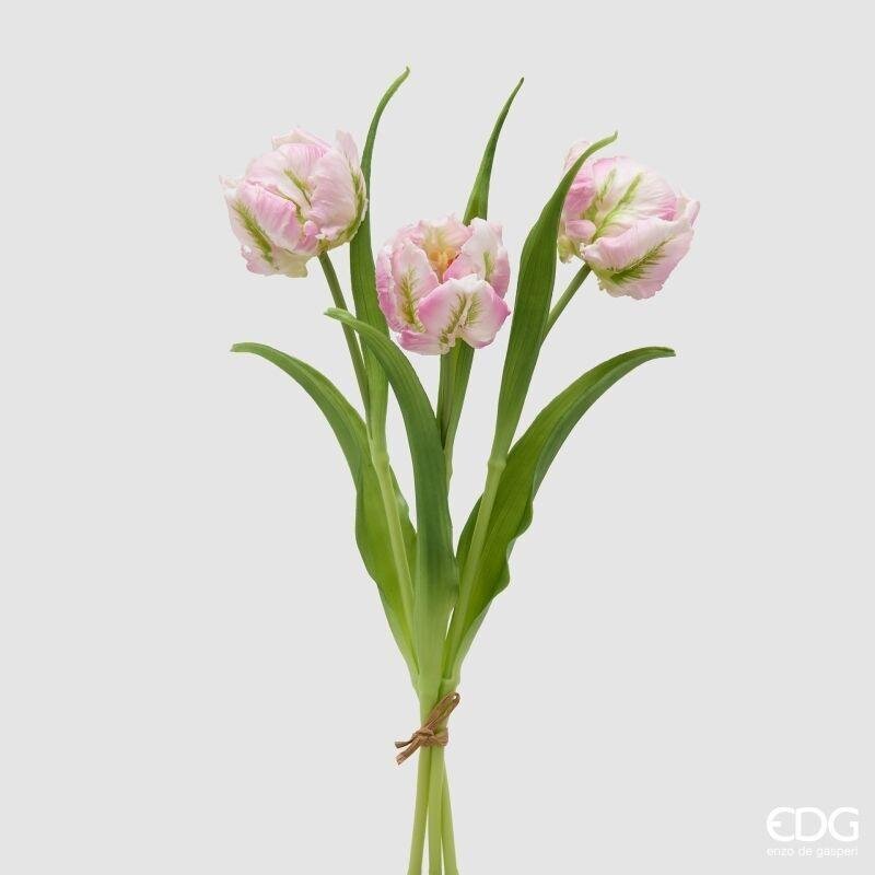 TULIPANI PARROT ROSE - EDG Enzo De Gasperi