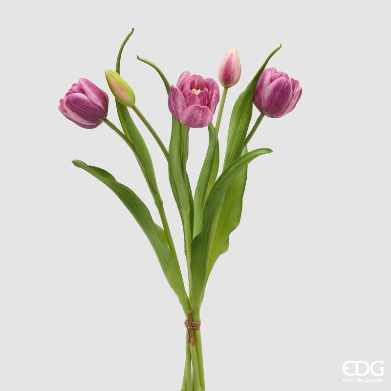 MAZZO TULIPANI VIOLA SFUMATI - EDG Enzo De Gasperi