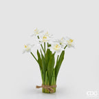 MAZZO NARCISO BIANCO - EDG Enzo De Gasperi
