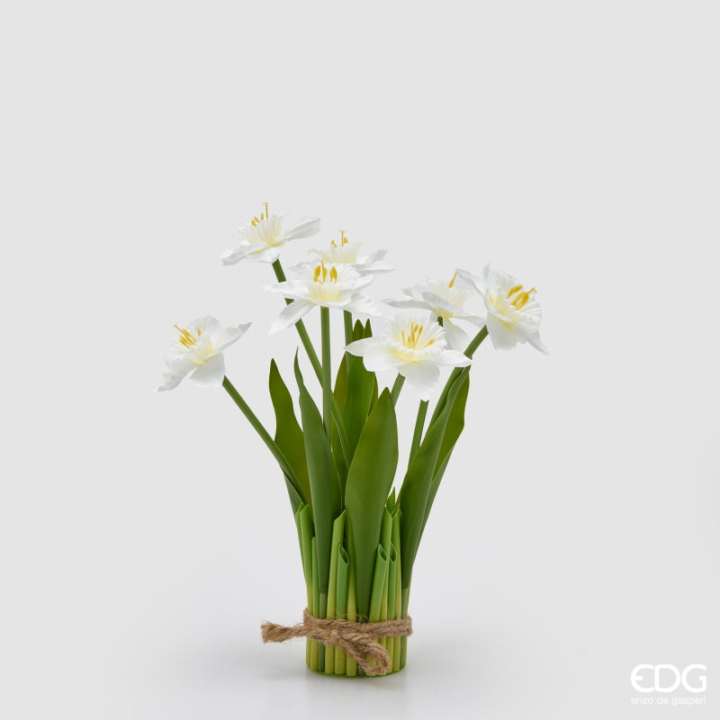 MAZZO NARCISO BIANCO - EDG Enzo De Gasperi